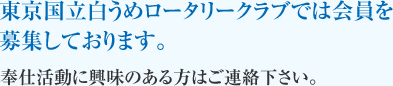 東京国立白うめロータリークラブでは会員を募集しております。
奉仕活動に興味のある方はご連絡下さい。